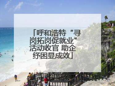 呼和浩特“寻岗拓岗促就业”活动收官 助企纾困显成效