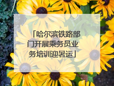 哈尔滨铁路部门开展乘务员业务培训迎暑运