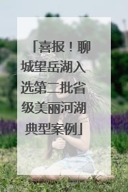 喜报！聊城望岳湖入选第二批省级美丽河湖典型案例