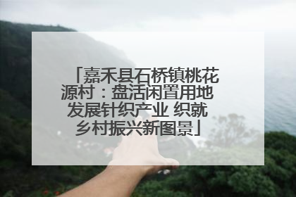 嘉禾县石桥镇桃花源村：盘活闲置用地发展针织产业 织就乡村振兴新图景