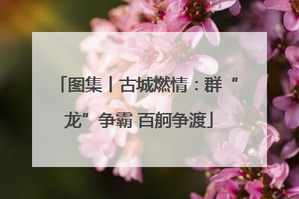 图集丨古城燃情：群“龙”争霸 百舸争渡