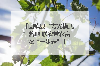 固镇县“寿光模式”落地 联农带农富农“三步走”