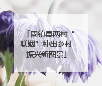 固镇县两村“联姻”种出乡村振兴新图景
