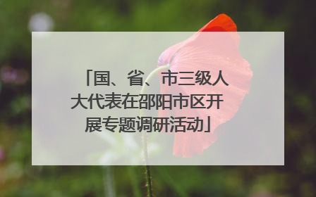 国、省、市三级人大代表在邵阳市区开展专题调研活动