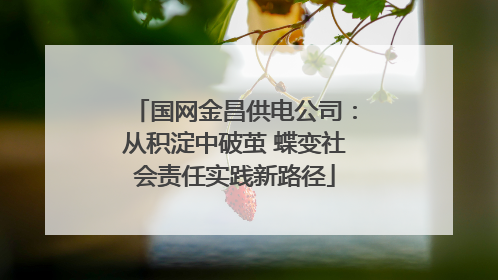 国网金昌供电公司：从积淀中破茧 蝶变社会责任实践新路径