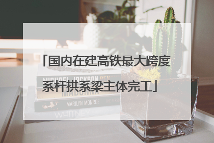 国内在建高铁最大跨度系杆拱系梁主体完工