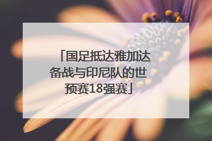 国足抵达雅加达备战与印尼队的世预赛18强赛