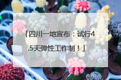 四川一地宣布：试行4.5天弹性工作制！