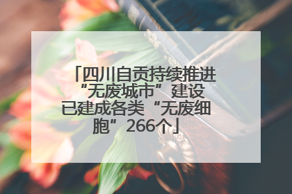 四川自贡持续推进“无废城市”建设 已建成各类“无废细胞”266个