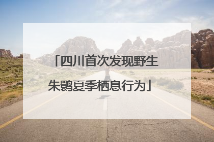 四川首次发现野生朱鹮夏季栖息行为