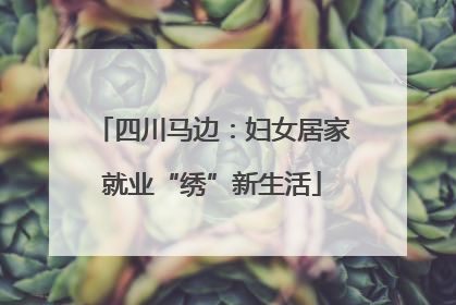 四川马边：妇女居家就业“绣”新生活