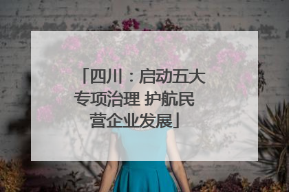 四川：启动五大专项治理 护航民营企业发展