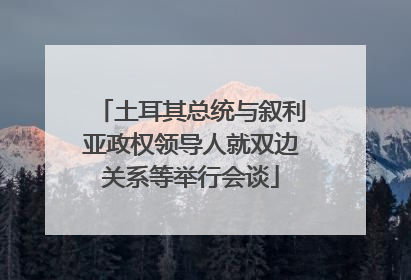 土耳其总统与叙利亚政权领导人就双边关系等举行会谈