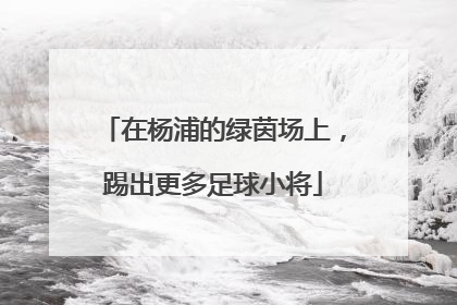 在杨浦的绿茵场上，踢出更多足球小将
