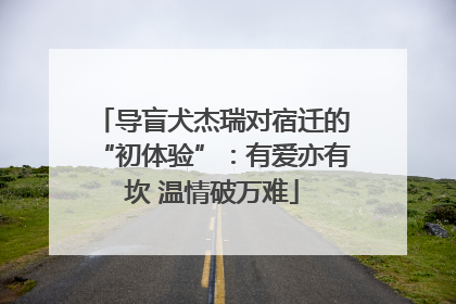 导盲犬杰瑞对宿迁的“初体验”：有爱亦有坎 温情破万难