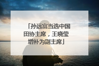 孙远富当选中国田协主席，王晓莹增补为副主席