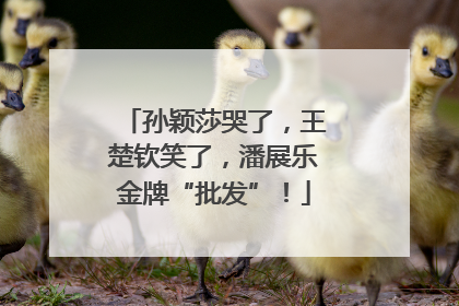 孙颖莎哭了，王楚钦笑了，潘展乐金牌“批发”！