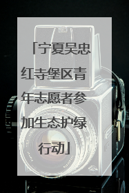 宁夏吴忠红寺堡区青年志愿者参加生态护绿行动