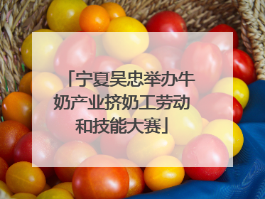 宁夏吴忠举办牛奶产业挤奶工劳动和技能大赛