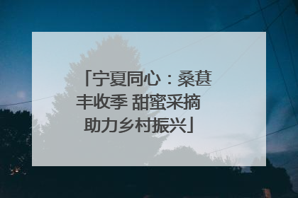 宁夏同心：桑葚丰收季 甜蜜采摘助力乡村振兴