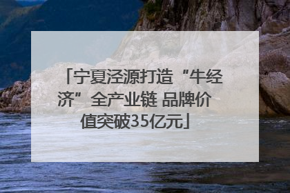宁夏泾源打造“牛经济”全产业链 品牌价值突破35亿元