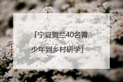 宁夏贺兰40名青少年到乡村研学