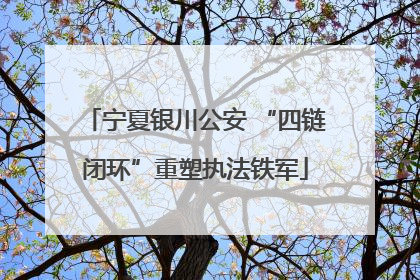 宁夏银川公安 “四链闭环”重塑执法铁军