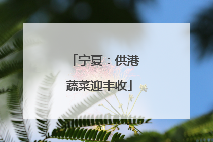 宁夏：供港蔬菜迎丰收