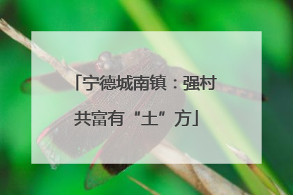 宁德城南镇：强村共富有“土”方