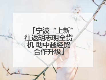 宁波“上新”往返胡志明全货机 助中越经贸合作升级