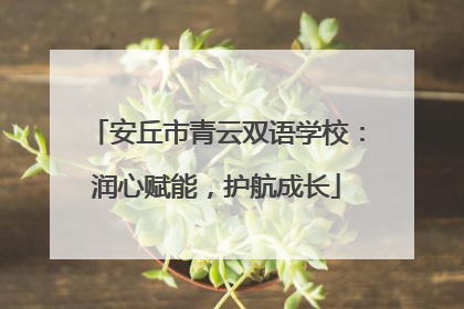 安丘市青云双语学校：润心赋能，护航成长