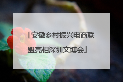 安徽乡村振兴电商联盟亮相深圳文博会