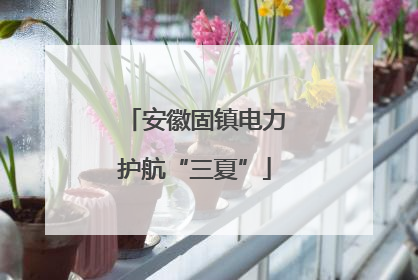 安徽固镇电力护航“三夏”