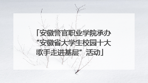 安徽警官职业学院承办“安徽省大学生校园十大歌手走进基层”活动