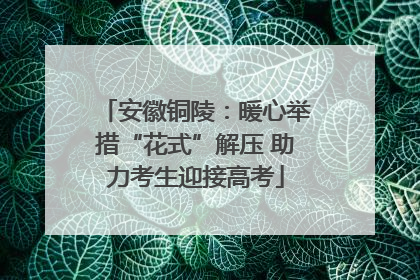 安徽铜陵：暖心举措“花式”解压 助力考生迎接高考