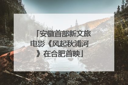 安徽首部新文旅电影《风起秋浦河》在合肥首映