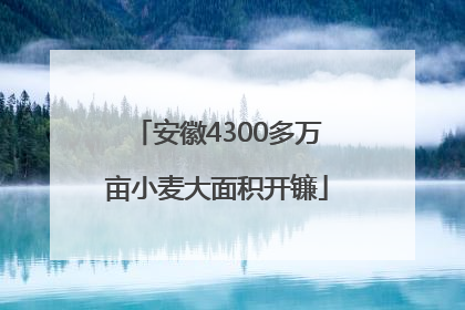 安徽4300多万亩小麦大面积开镰