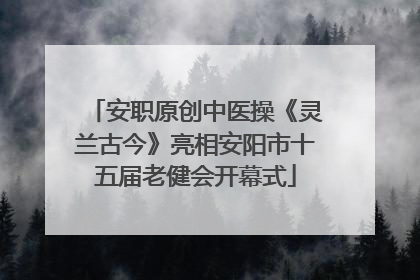 安职原创中医操《灵兰古今》亮相安阳市十五届老健会开幕式