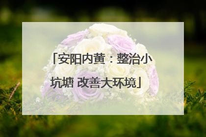 安阳内黄：整治小坑塘 改善大环境
