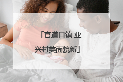 官道口镇 业兴村美面貌新