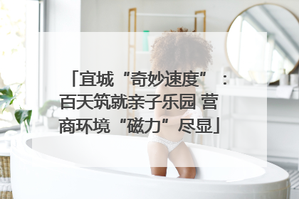 宜城“奇妙速度”：百天筑就亲子乐园 营商环境“磁力”尽显
