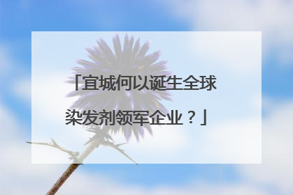 宜城何以诞生全球染发剂领军企业？
