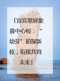 宜宾翠屏象鼻中心校：“幼芽”初探新枝，衔接共育未来
