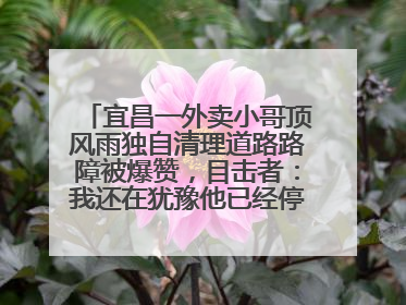 宜昌一外卖小哥顶风雨独自清理道路路障被爆赞，目击者：我还在犹豫他已经停车清障了
