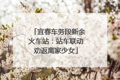 宜春车务段新余火车站：站车联动劝返离家少女