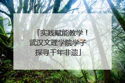 实践赋能教学！武汉文理学院学子探寻千年非遗