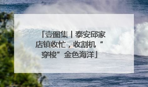 壹图集丨泰安邱家店镇收忙，收割机“穿梭”金色海洋