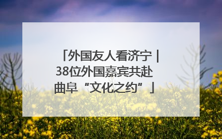 外国友人看济宁｜38位外国嘉宾共赴曲阜“文化之约”
