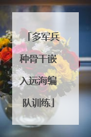 多军兵种骨干嵌入远海编队训练