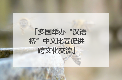 多国举办“汉语桥”中文比赛促进跨文化交流
